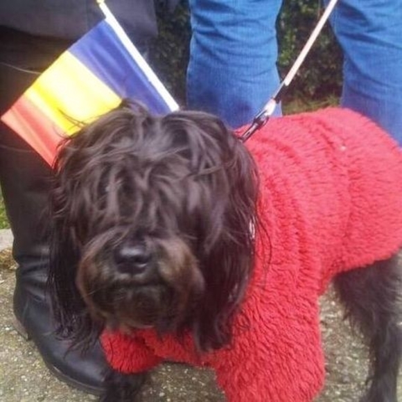 Meet your Posher, Eszti - Picture 1 of 1